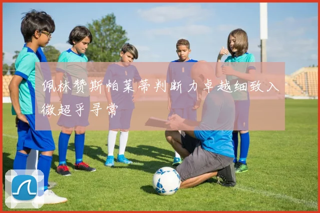 佩林赞斯帕莱蒂判断力卓越细致入微超乎寻常