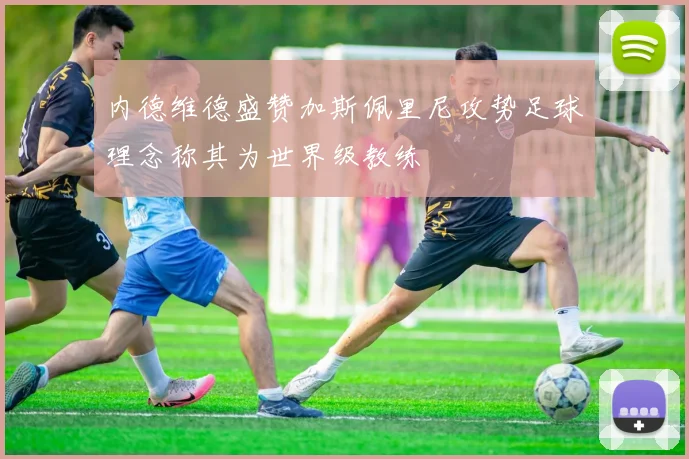 内德维德盛赞加斯佩里尼攻势足球理念称其为世界级教练